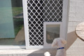 Large white doggy door (6 colours available)