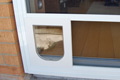 Small white doggy door